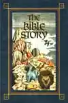 The Bible Story